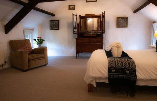 Yr Hen Efail - Old Smithy - Foto 28