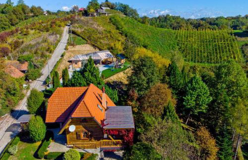 Family friendly house with a swimming pool Gornja Voca, Zagorje - 11873 - Foto 3