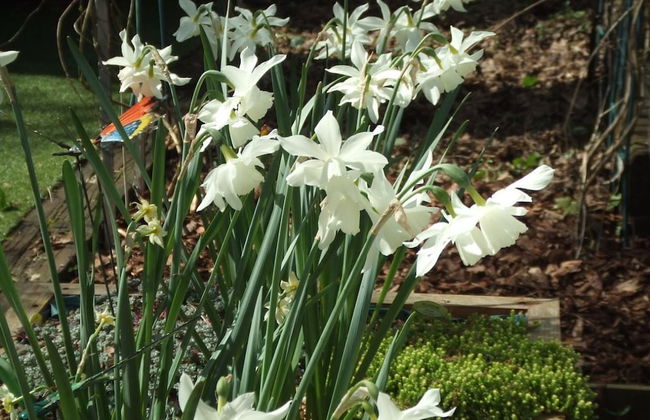 Queens Road Rental - Winchester Accommodation - Foto 26