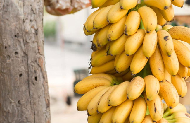 Tour de la fruta tropical - Foto 3