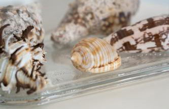 Casa do Porto - Photo 18