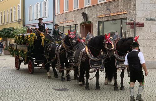 Silberwurz - Foto 13