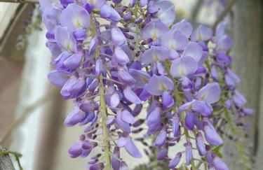 Schloss Hilbringen - Foto 45