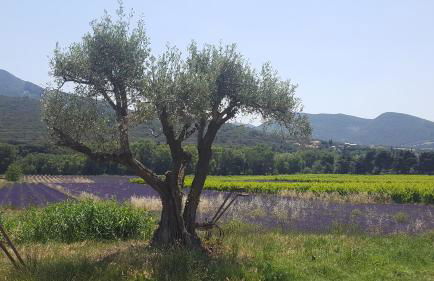 Gîtes du Château d'Alençon - Photo 17