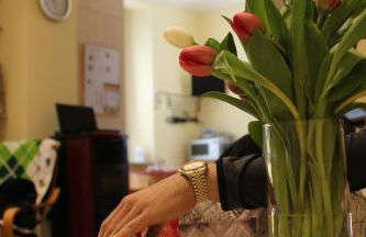 i tulipani - Foto 76