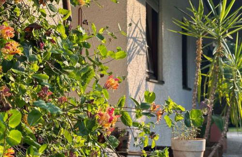 Ferienwohnung Emma - Foto 30