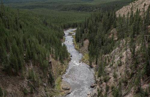 Cozy Henrys Lake Escape - 20 Miles to Yellowstone! - Foto 41