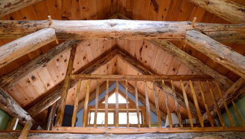 Cozy Lakefront Cabin Rental in the Woodlands of Empire, Michigan - Foto 3