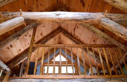 Cozy Lakefront Cabin Rental in the Woodlands of Empire, Michigan - Foto 3