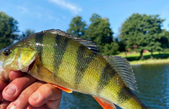 4 Star Holiday Home in Hallstavik - Foto 15