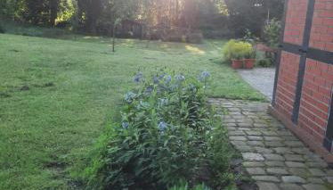 Ferienwohnung auf dem Land - Foto 4, Garden view