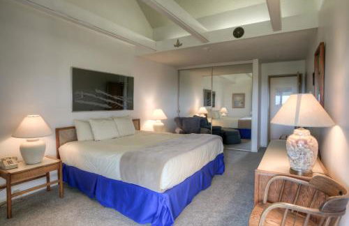 The Grey Gull - Foto 100