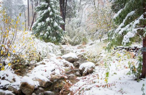 Wildland Aerie at Treehaus with Creekside Hot Tub Pets OK - Foto 74