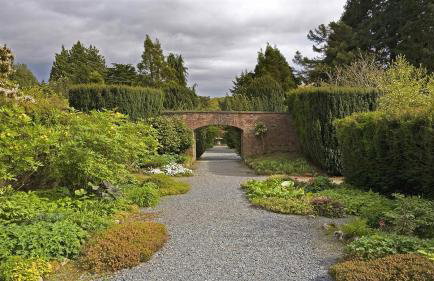 Oaktree Manor - BBQ, games rooms and pet friendly - Photo 37