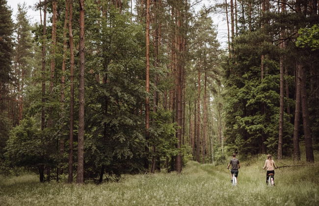 Apartment in Gronowo Near Lake Siecino - Photo 18