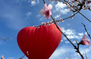 Ονειροπαγίδα - Photo 20