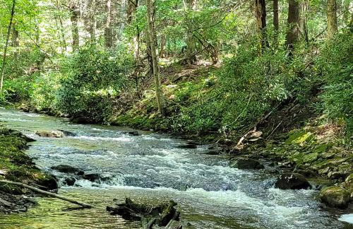 Game Room and Yard Greentown Home Near State Park - Foto 38