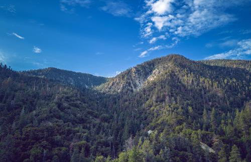 Spectacular Designer Treehouse with Mountain Views - Foto 9