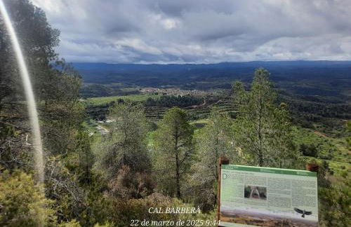 Cal Barberà - Foto 38