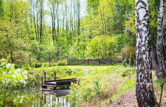 Kurort Mirowice-domek w lesie, z balią z jacuzzi i hydromasażem - Foto 14