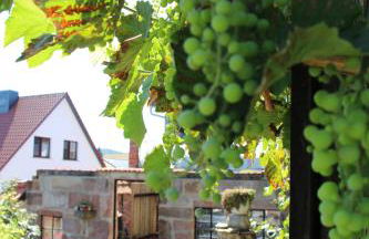 Zur Alten Schmiede mit Museum - Foto 23