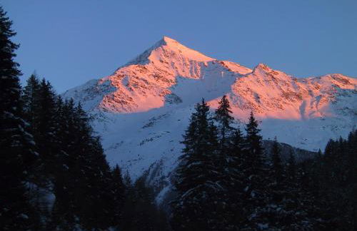 Anemone Home - Foto 19