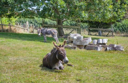 1 Bed in Ashprington oc-m32906 - Photo 26