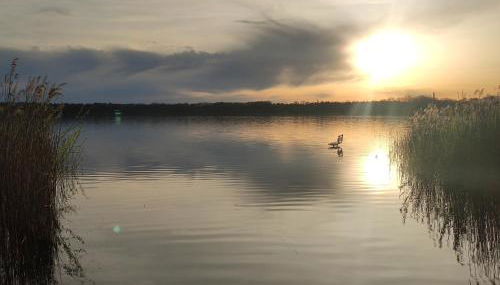 Ferienhaus Turner - Photo 4