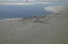 Nothing But Ocean in Forest Beach - Foto 20