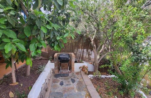 Casa Mimosa with private pool & garden - Foto 13