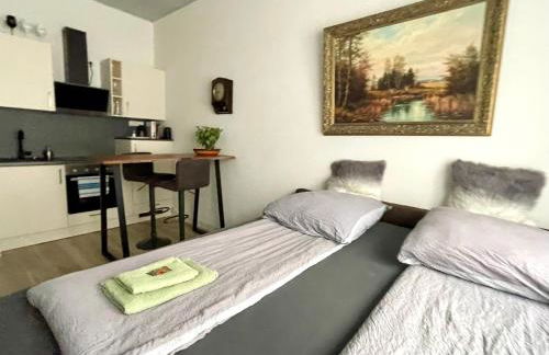 Goldstadt Classic Suite - City Apartament am Schlössle - Foto 39