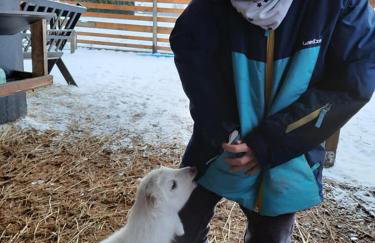 Osada Jelonki Wielka Puszcza - Foto 62
