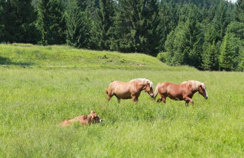 Alpenapartment mit Garten - Photo 61