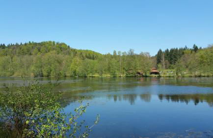 Haus Elsbeere - Foto 22