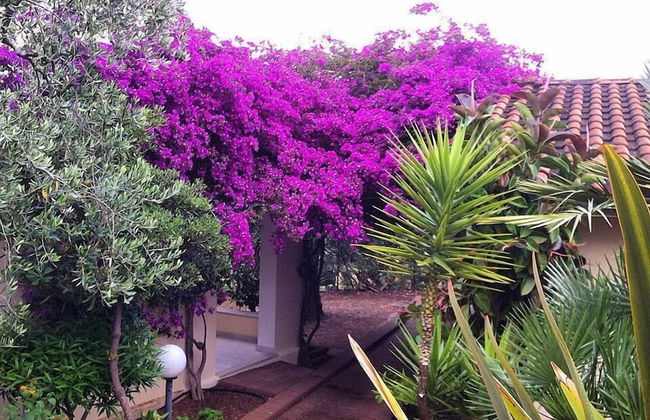 Villaggio Turistico Defensola - Foto 54