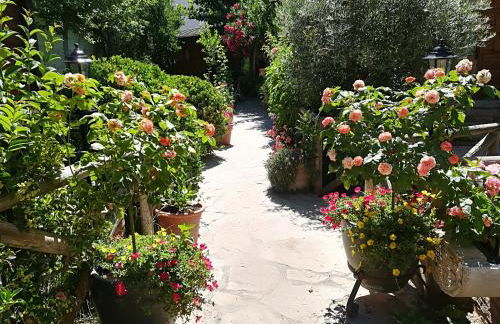 Cabañas los Pinos Arroyo Frio - Foto 63