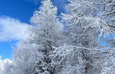 Col Dala Vara - Foto 62