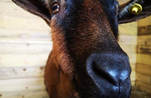 Maison Trichard - Photo 62