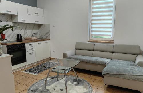 Apartamenty Starosądeckie - Foto 23