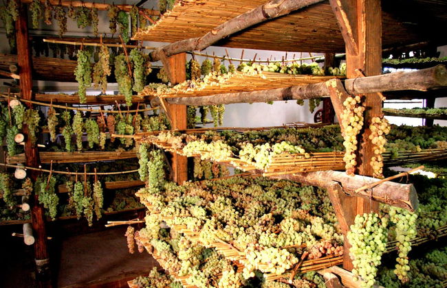 Castello di Volognano - Photo 68