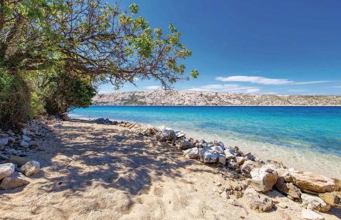 Apartman Ivanka - Foto 15