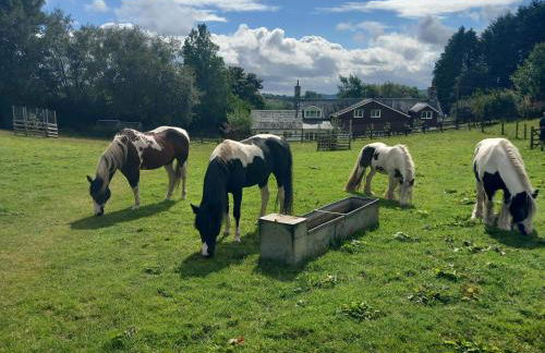 Bryn Y Garreg Cottage - The Wireless Tech Free Farm - Photo 42