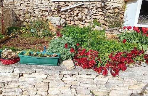 Modern Robinson Veli Bare - Photo 36