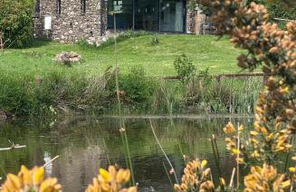 Renovated Barn with Pond View - Foto 1