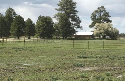 Grand Canyon Cottage at Historic Wrigley Ranch with Horseback Riding & Hiking - Foto 19