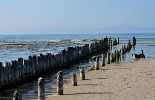 Morska Szyszka & Leśne SPA - Foto 46