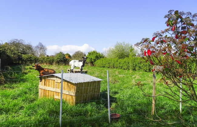 Stone House in Plouezec Near Goelo Coast - Foto 20