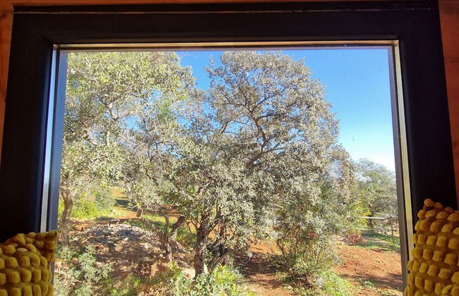 Tiny House Loulé Algarve no1 - Foto 16