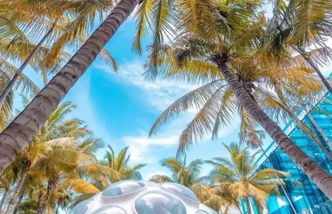 Stanza Design District Parking Laundry - Foto 1