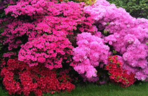Villa Topas - Foto 9